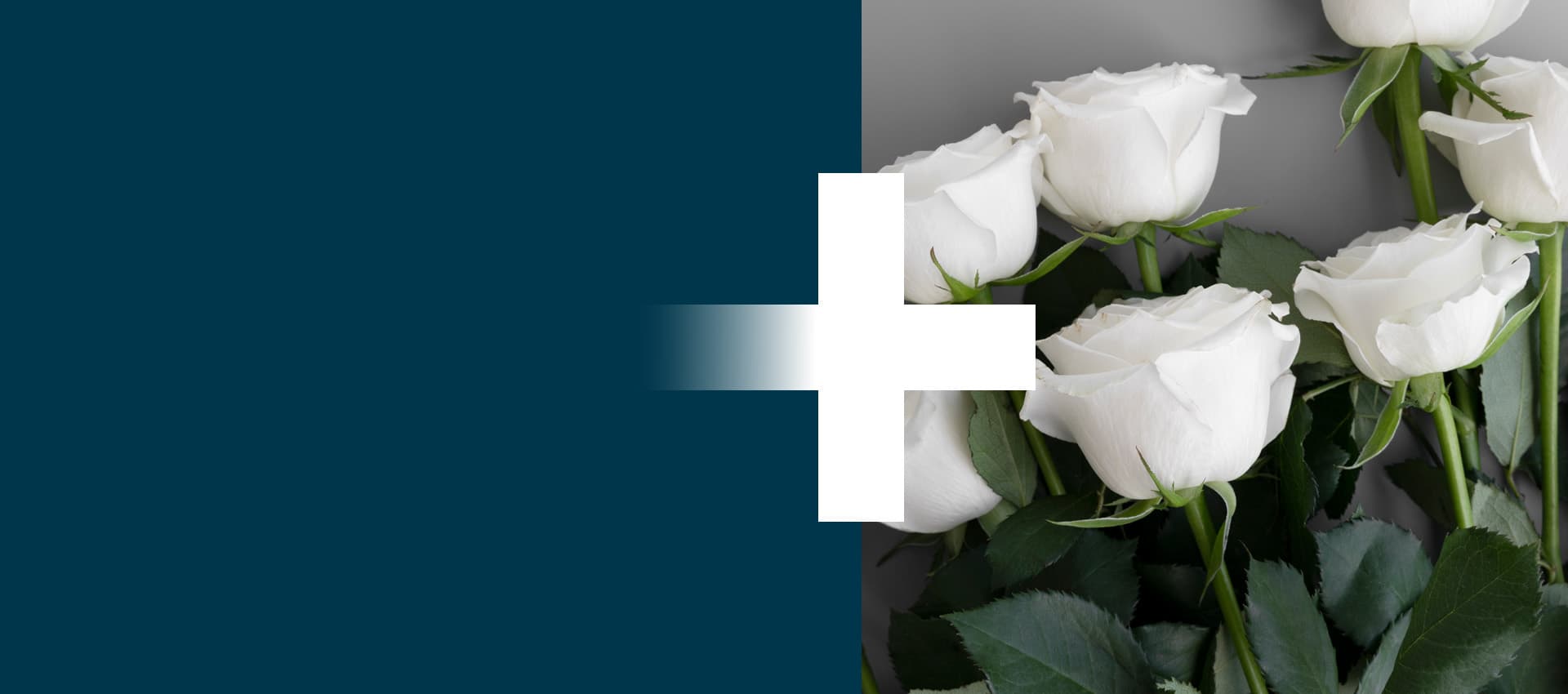 Assistência <br /><b style='color:#F07D00'>Funeral</b>